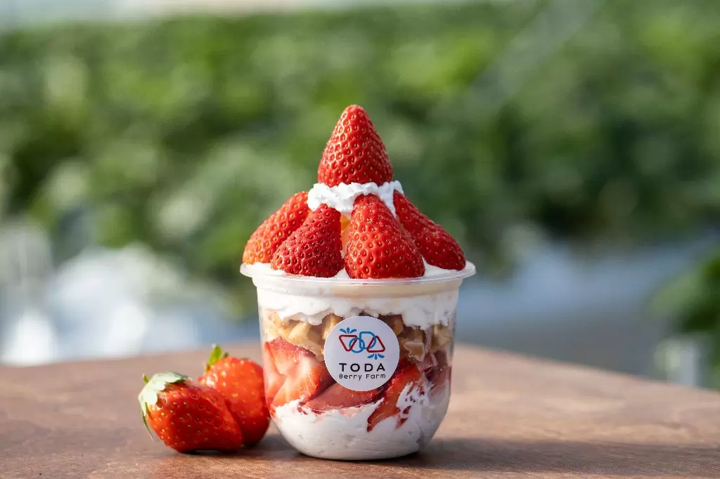 สตรอว์เบอร์รีที่ TODA Berry Farm