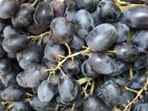 ทามากิ เคียวโฮเอ็น จังหวัดเอฮิเมะ