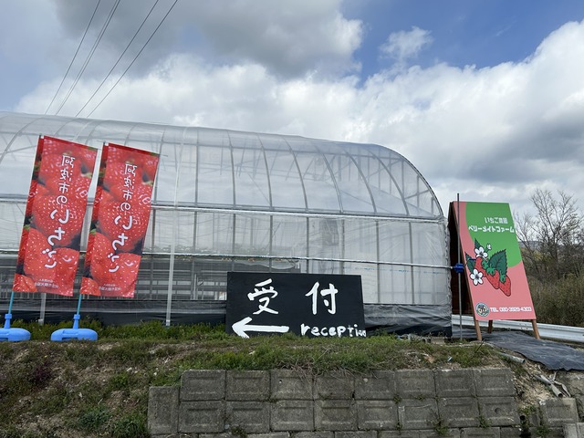 Berry Mate Farmのいちご