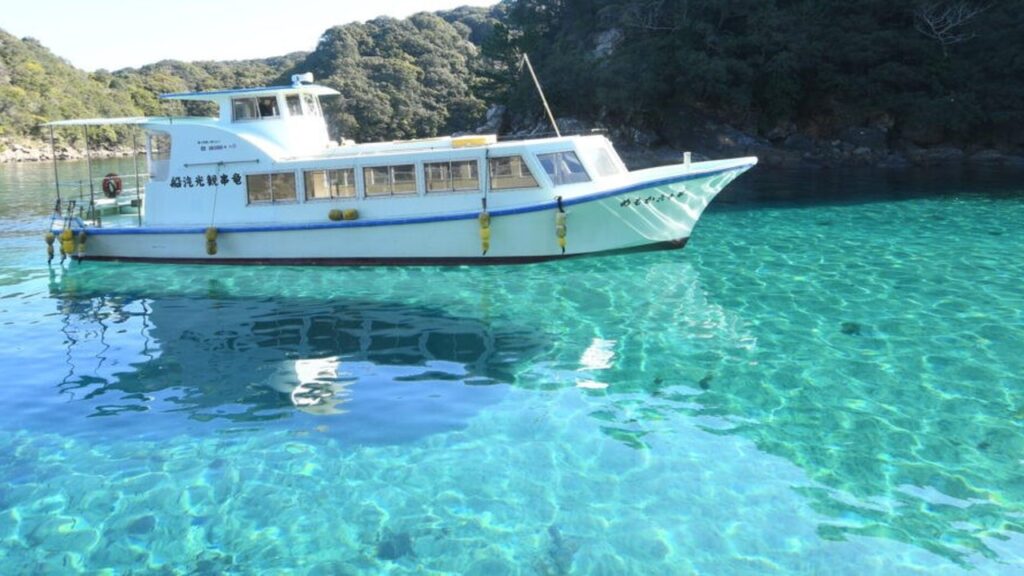 透明な竜串の海を進むグラスボート
