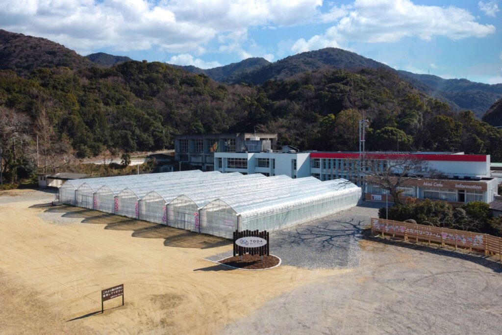 TODA Berry Farmの旧校舎といちご栽培ハウス