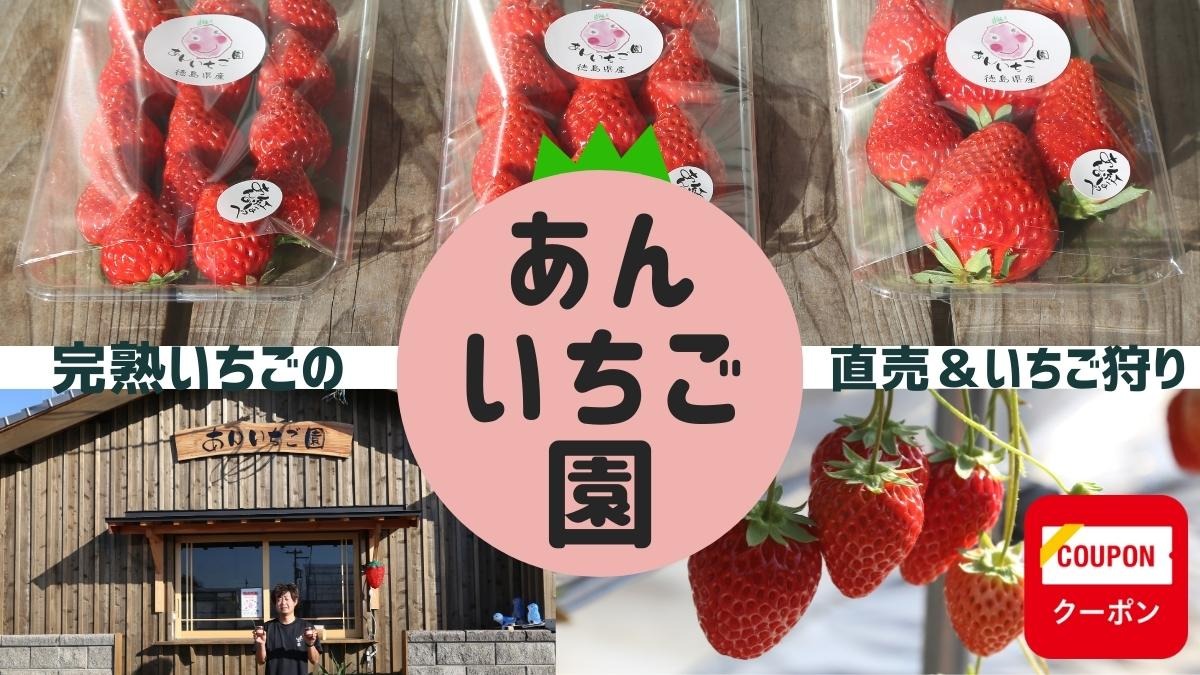 An Strawberry Farmのいちご