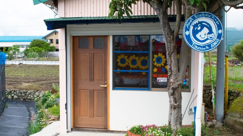 เก็บบลูเบอร์รีที่ AWA Blueberry Farm｜3 คอร์สและวิธีจอง