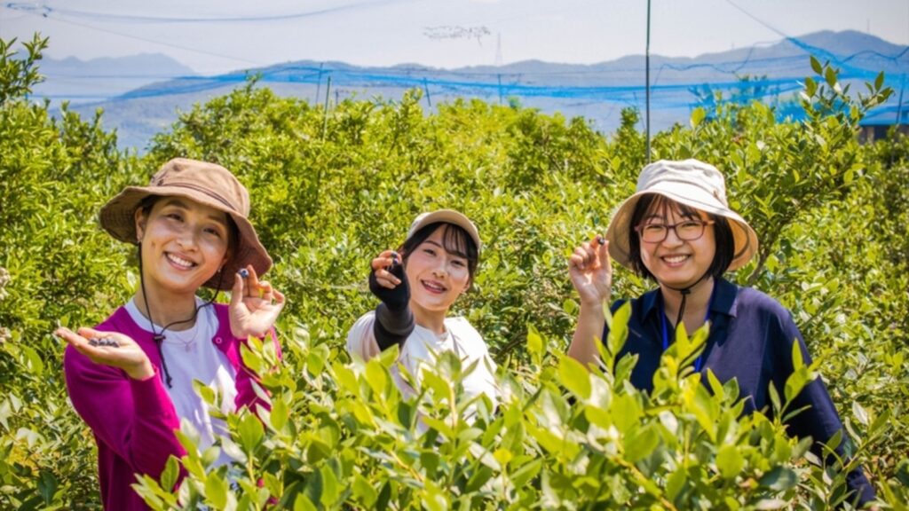 เก็บบลูเบอร์รีออร์แกนิกที่ Very Berry Farm Wakimachi｜ต้องจองไหม