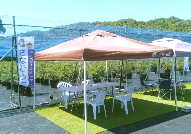 blueberryfarm Sanagochi