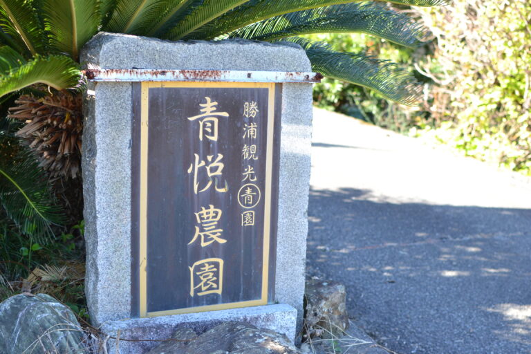 勝浦観光○青園