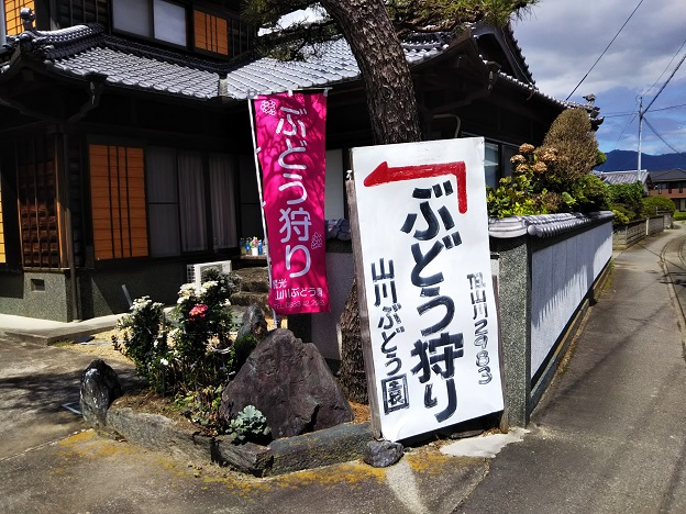山川ぶどう園