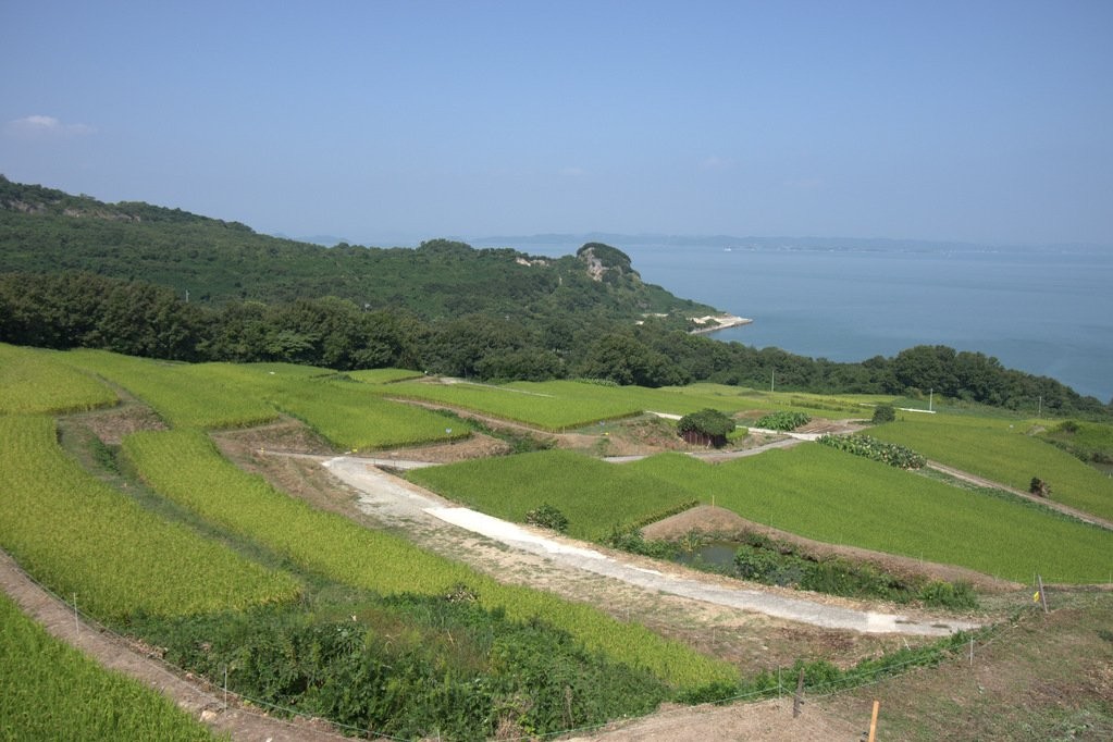 ท่าเรือและการเดินทางบนเกาะเทชิมะ