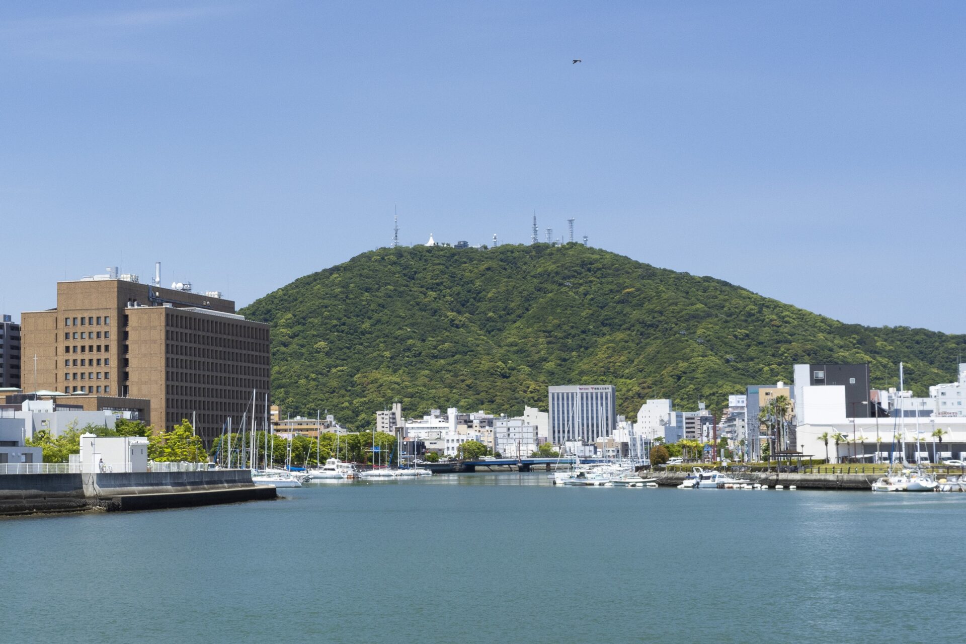 ภูเขาบิซังกับอาคารเมืองโทคุชิมะและแม่น้ำชินมาจิในปี 2020