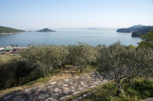 เก็บมะกอกที่ Shodoshima Olive Park จังหวัดคางาวะ