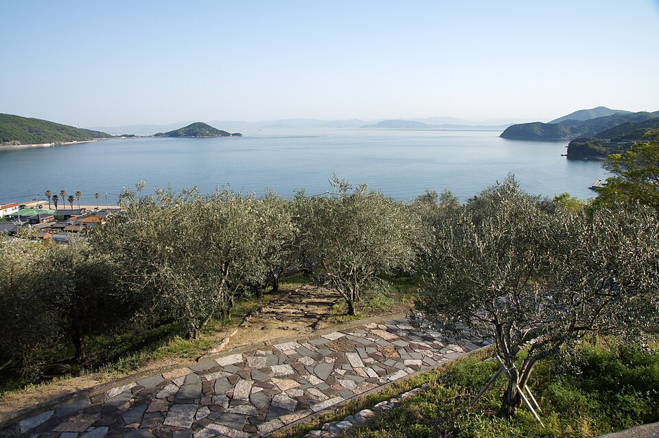 สวนมะกอกและทะเลที่ Shodoshima Olive Park