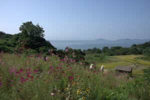 เกาะเทชิมะ