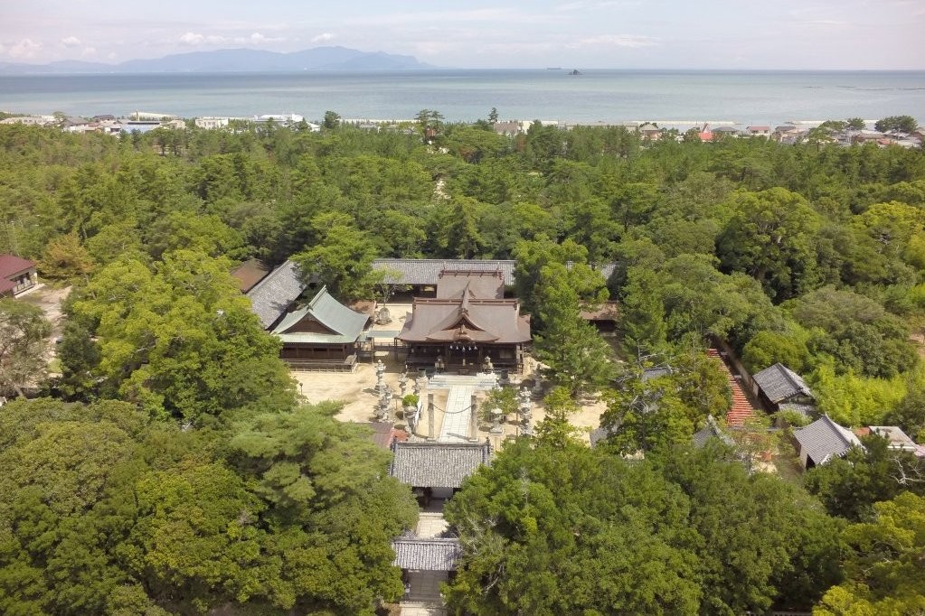 ศาลเจ้าชิโรโทริ|ไหว้ศาล เดินภูเขามิยามะ 3.6 เมตร และชมป่าสน