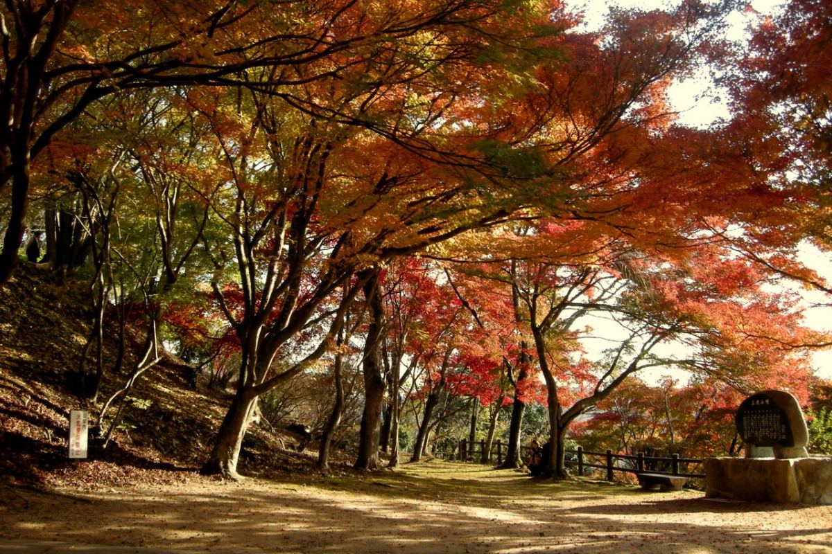 สวนโอเซกิยามะ มิโยชิ