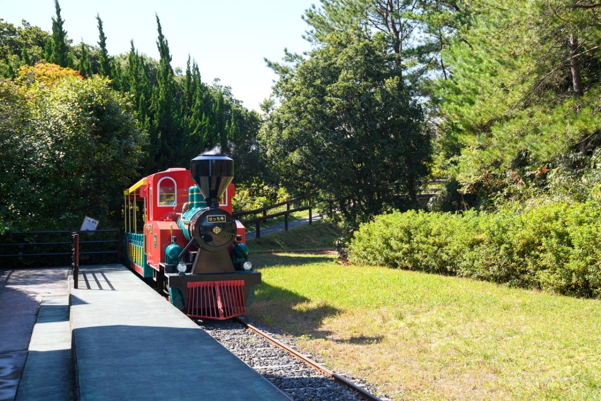 รถไฟจำลองมินิเอสแอลในสวนฮาจิกามิเนะ