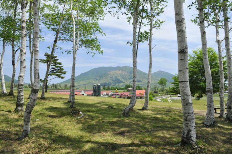 ทางเหนือและภูเขา