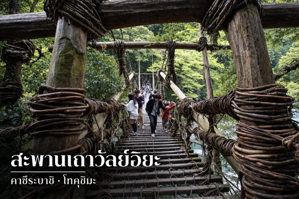 สะพานเถาวัลย์อิยะ คาซึระบาชิ | ค่าข้าม รถบัส สร้างใหม่ 2027