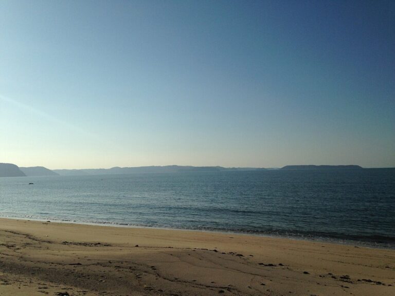 เกาะคาชิวะและหาดเล่นน้ำโคจิ
