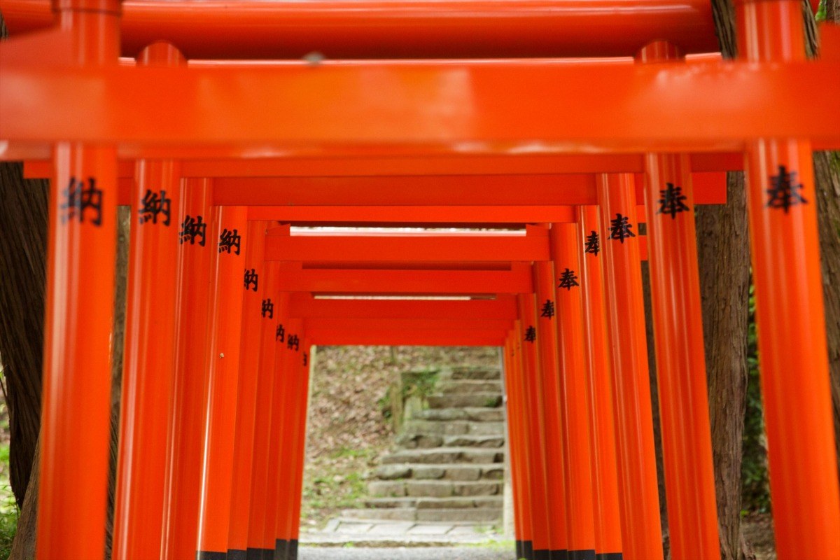 อุโมงค์เสาโทริอิสีแดงที่ศาลเจ้าคิบิตสึฮิโกะ