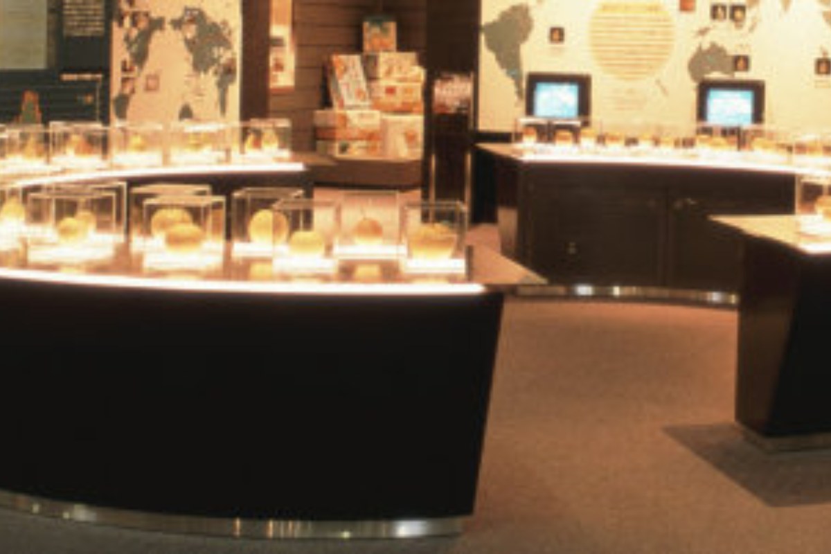 ห้องจัดแสดงในพิพิธภัณฑ์สาลี่นิจิสเซกิแห่งทตโตริ
