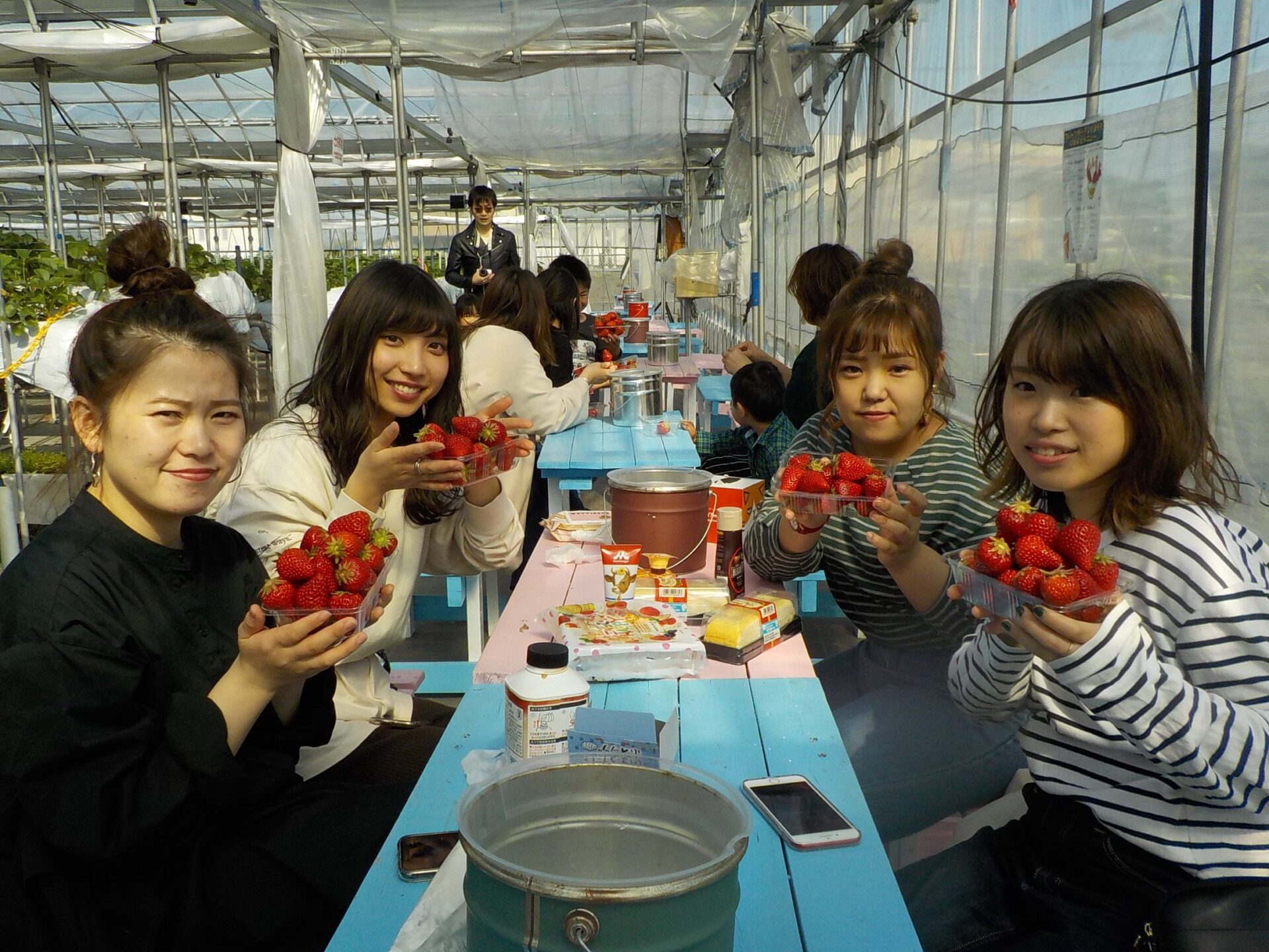 สตรอว์เบอร์รีที่ Fruit Garden Yamagata