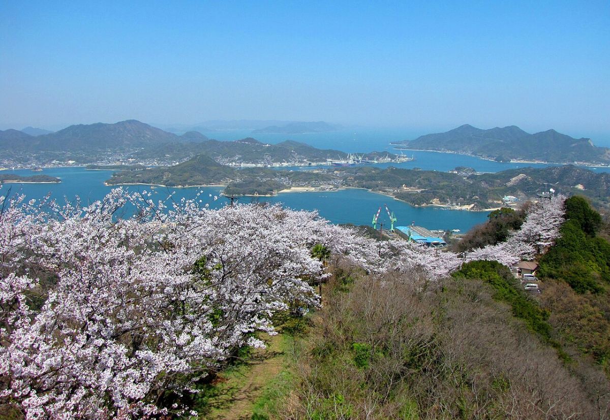 ซากุระบนภูเขาเซกิเซนซังมองเห็นหมู่เกาะทะเลเซโตะใน