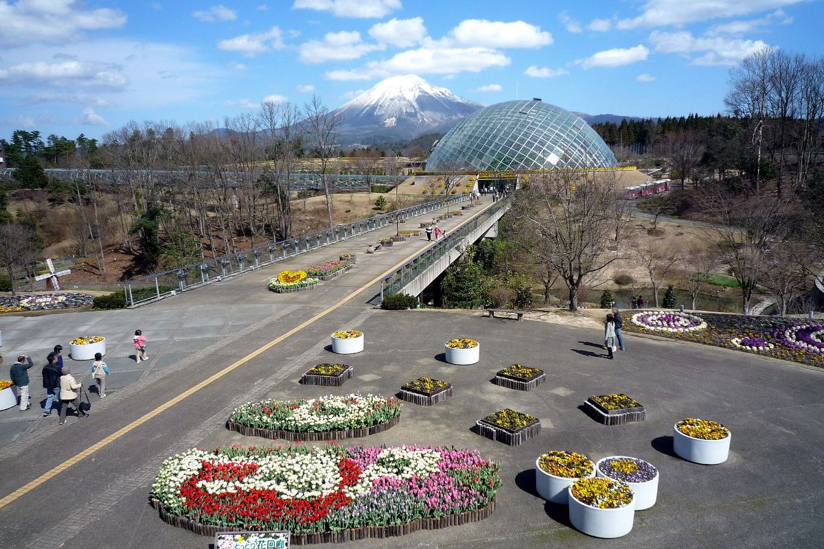 สวนดอกไม้ทตโตริฮานะไคโร และภูเขาไดเซ็น