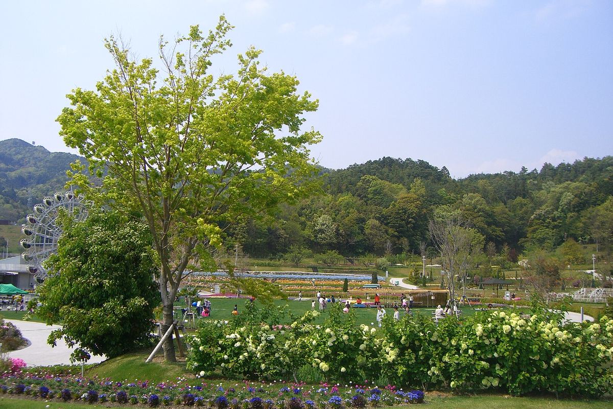 สวนดอกไม้ยามากุจิฟลาวเวอร์แลนด์ ยานาอิ