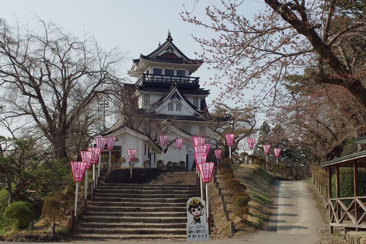 ซากุระบานรอบปราสาทโยโกเตะที่สวนโยโกเตะ เมืองโยโกเตะ จังหวัดอาคิตะ