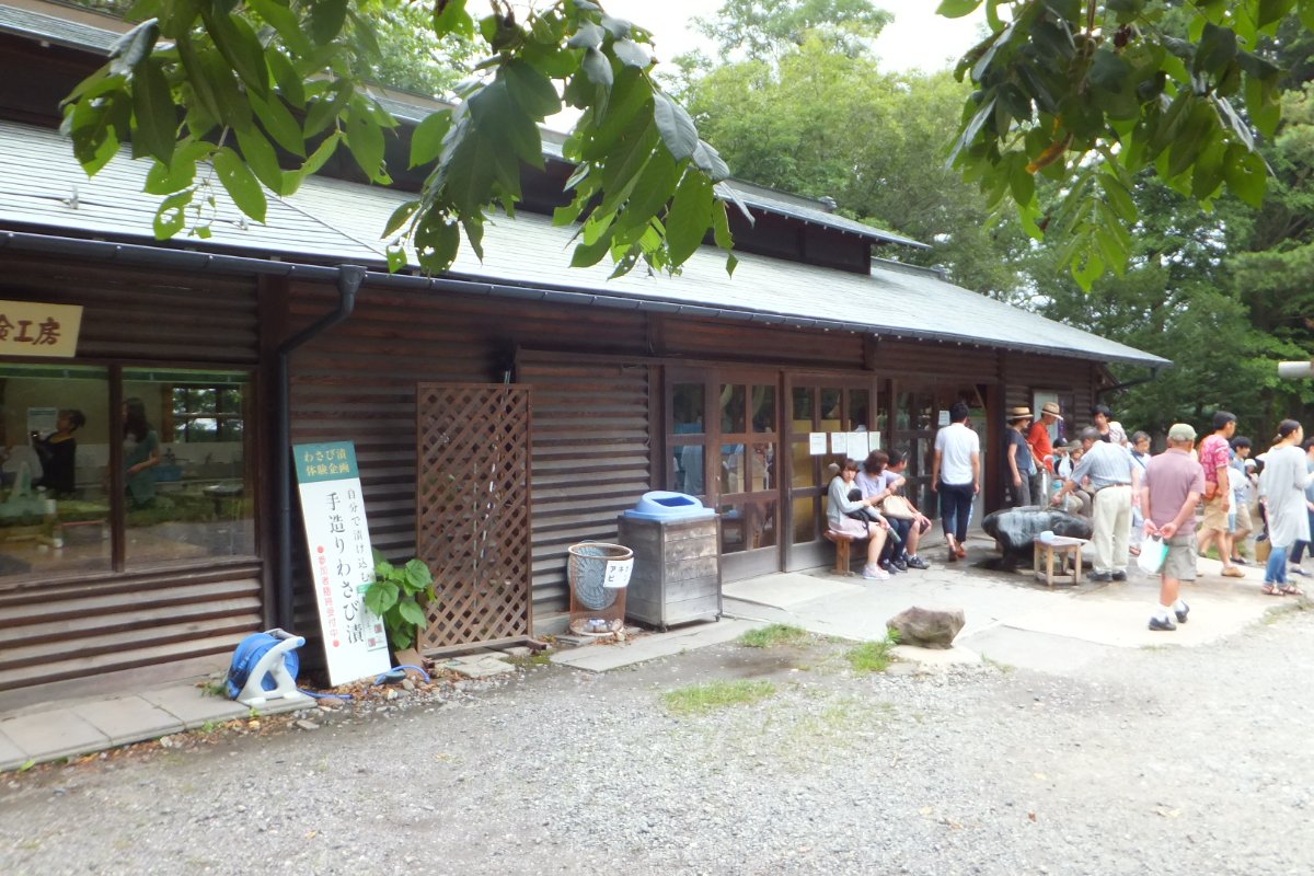 ร้านในฟาร์มวาซาบิไดโอ