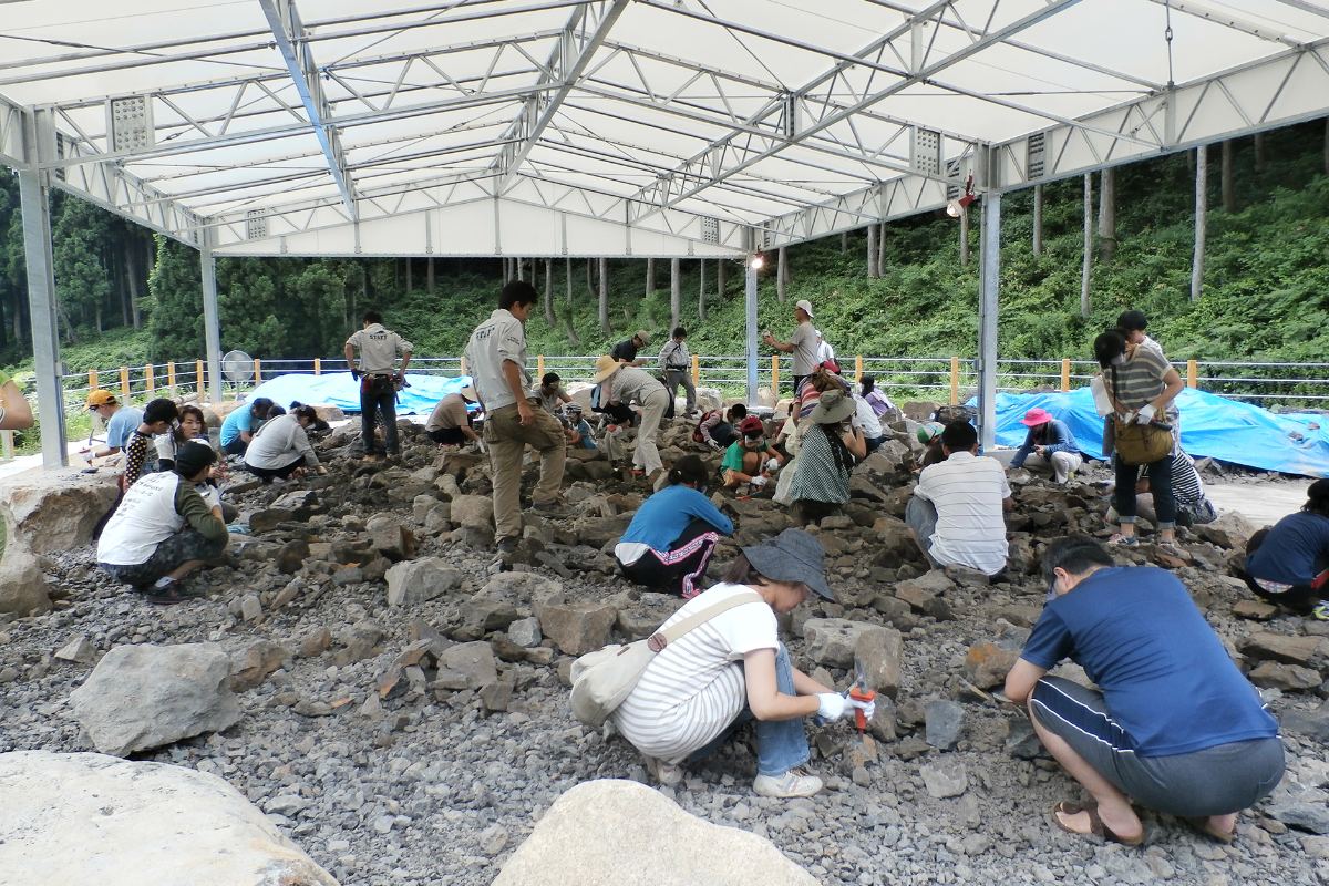 ผู้คนลองขุดหาฟอสซิลในกิจกรรมขุดฟอสซิล