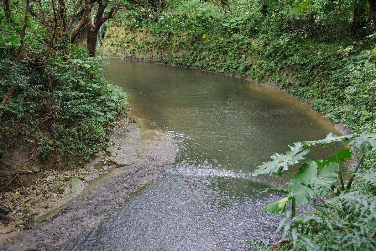 ลำธารในหุบเขากังการะ