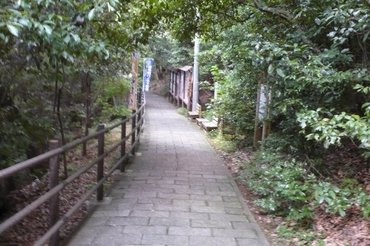 ทางเดินบนภูเขาคินกะ