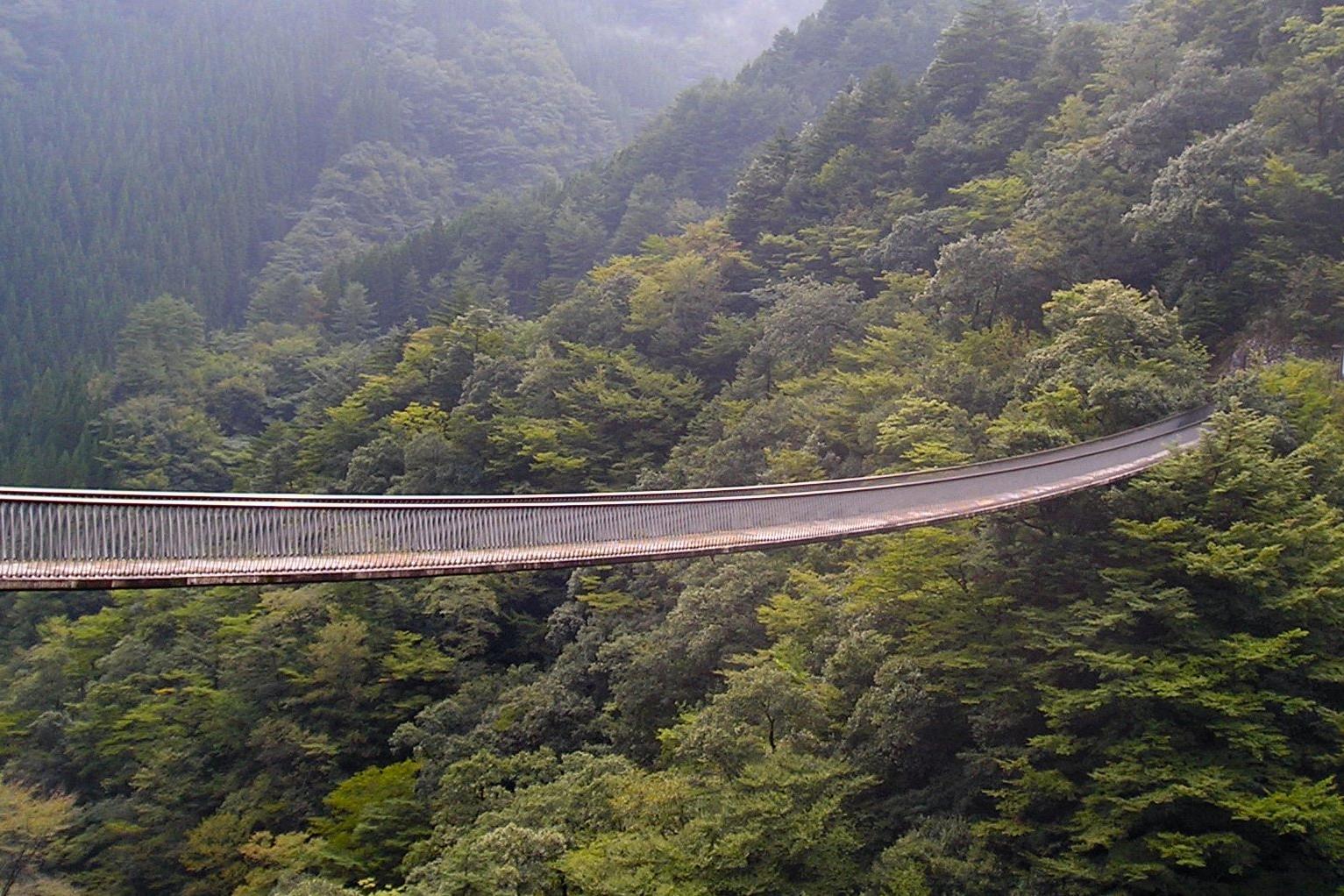 สะพานแขวนอุเมโนะคิโทโดโรกิ ยาว 116 เมตร เหนือหุบเขา