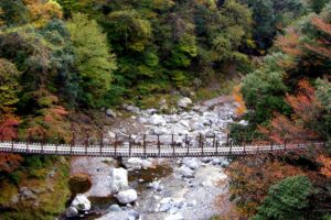 โกคาโนะโช