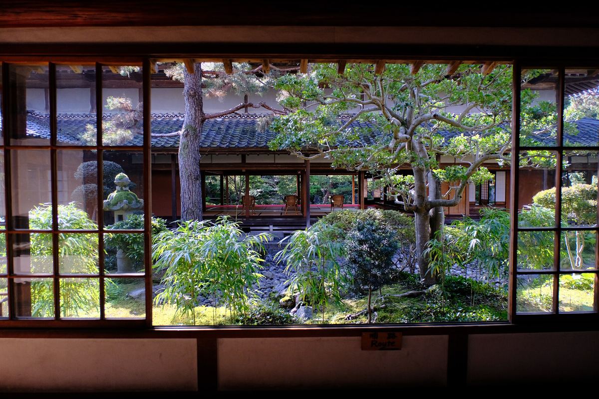สวนมองจากในอาคาร