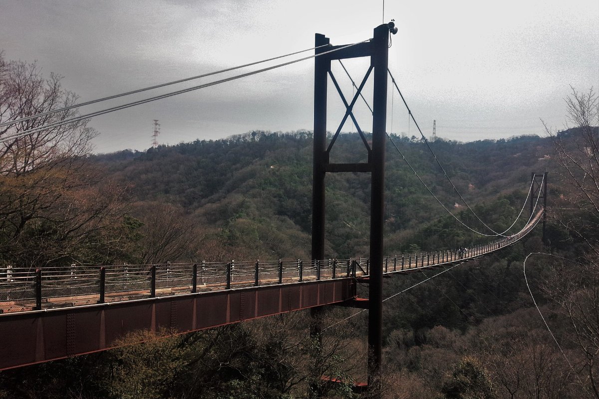 สวนโฮชิดะ ป่าประชาชนโอซาก้า (สะพานโฮชิโนะบุรังโกะ)