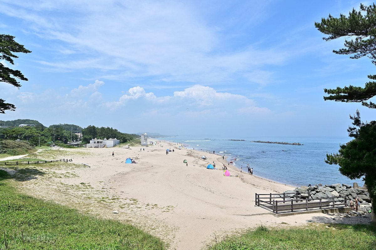แนวสนเขียวและหาดทรายขาวของหาดอิชิฮามะ เมืองฮิตาจิ อิบารากิ