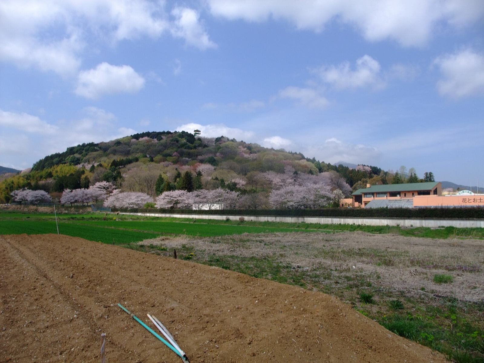 เนินเขาและสวนดอกไม้ในอิชิโอกะ