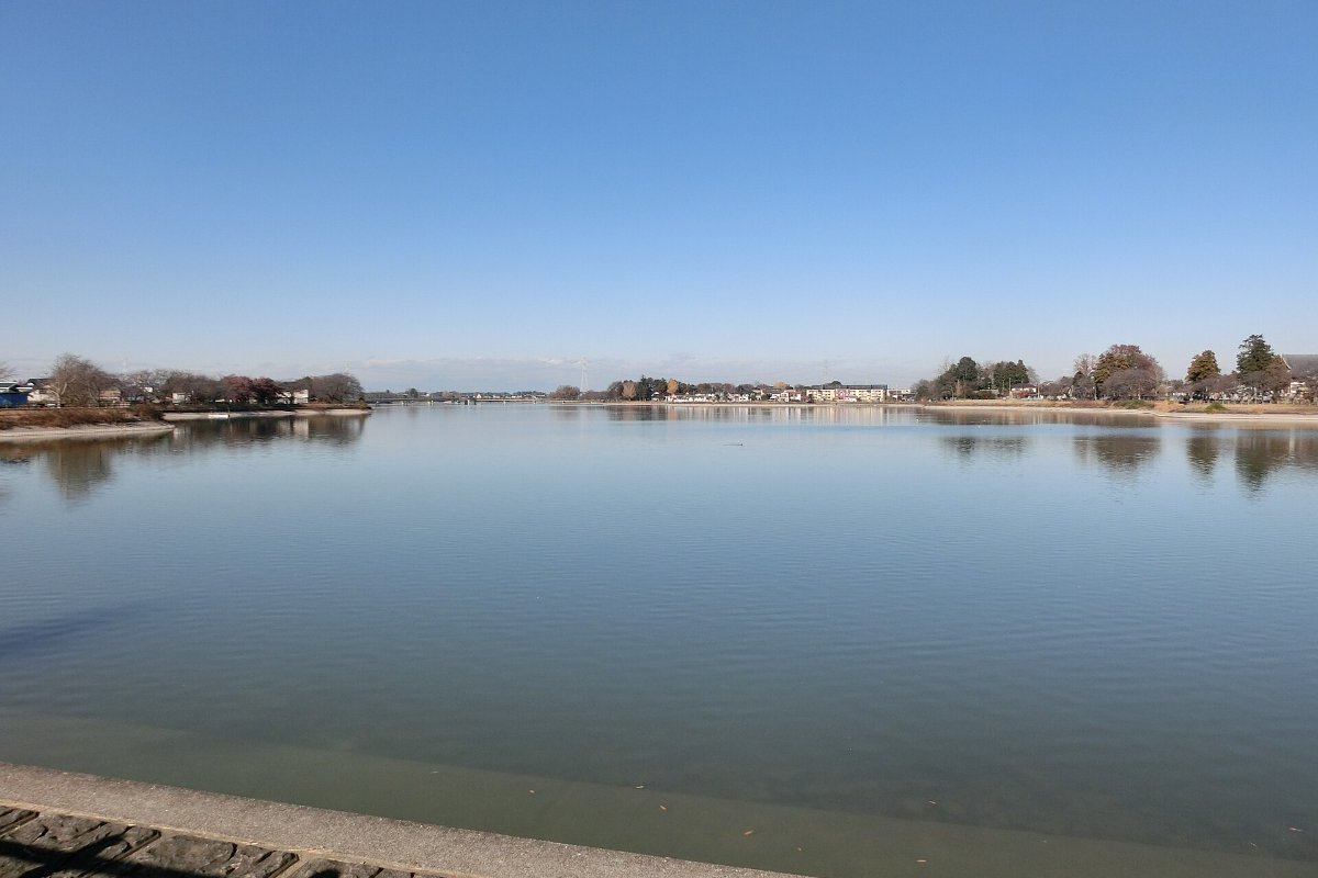 แนวซากุระรอบทะเลสาบซานุมะ เมืองชิโมสึมะ อิบารากิ