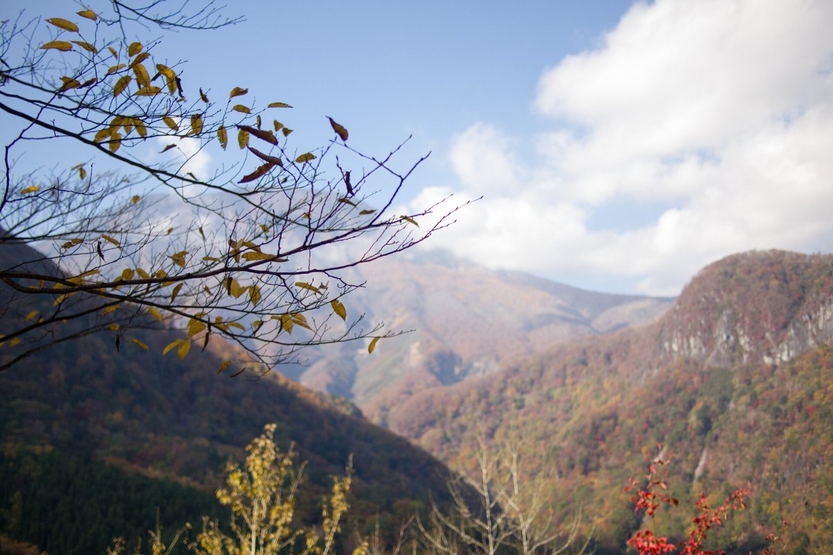 ภูเขาใบไม้เปลี่ยนสีรอบอิโรฮะซากะ