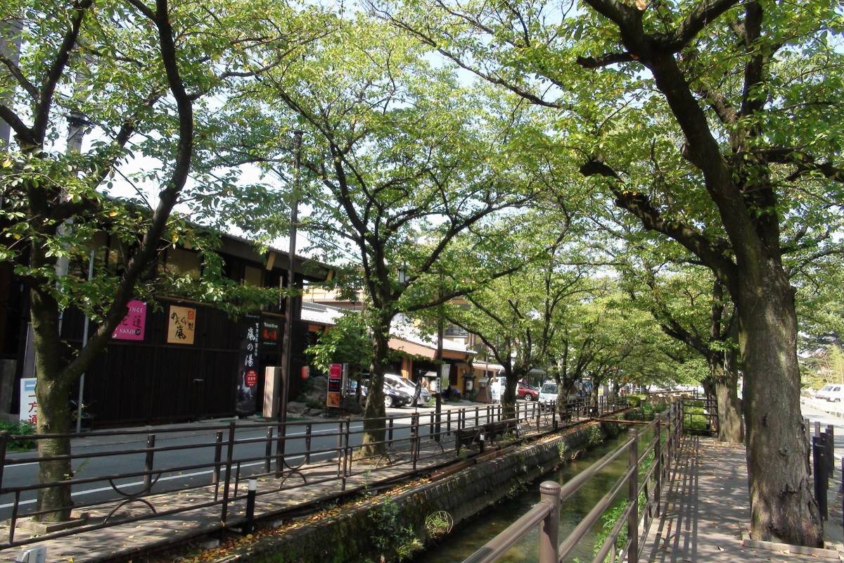 ถนนร่มรื่นในย่านอิซาวะออนเซ็น