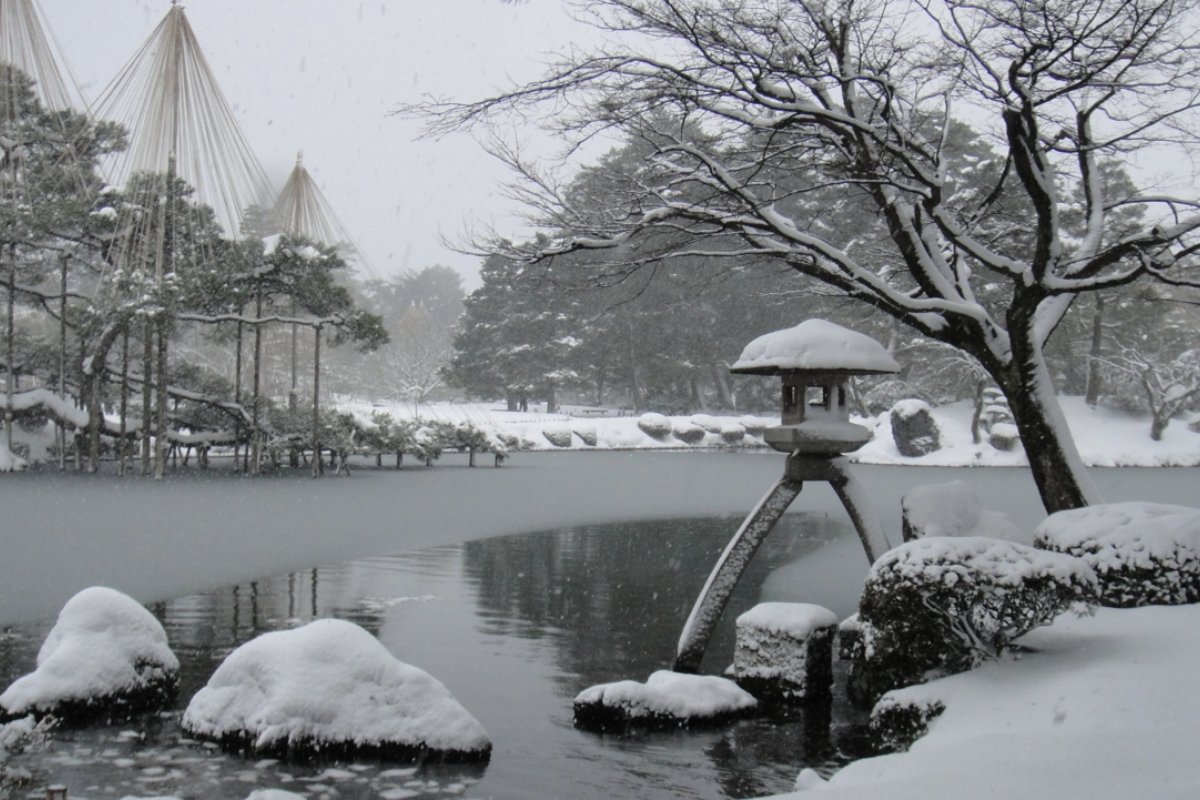 สวนเค็นโรคุเอ็นกับต้นสนที่แขวนเชือกกันหิมะและหิมะขาว
