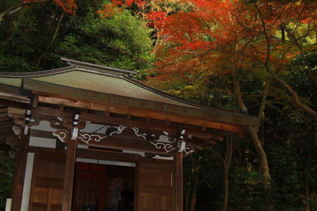 วัดโจโคจิ เซโตะ|สุสานโทคุงาวะ โยชินาโอะ กับใบไม้เปลี่ยนสี