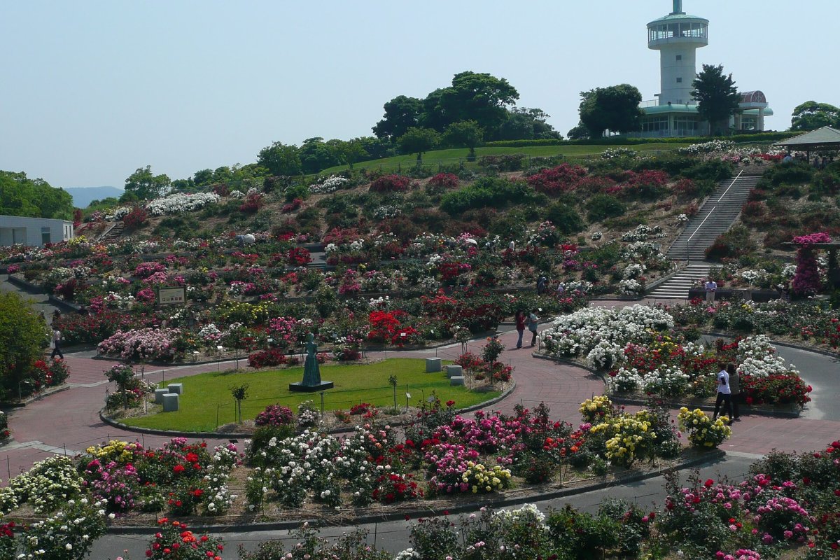 สวนกุหลาบคาโนยะ