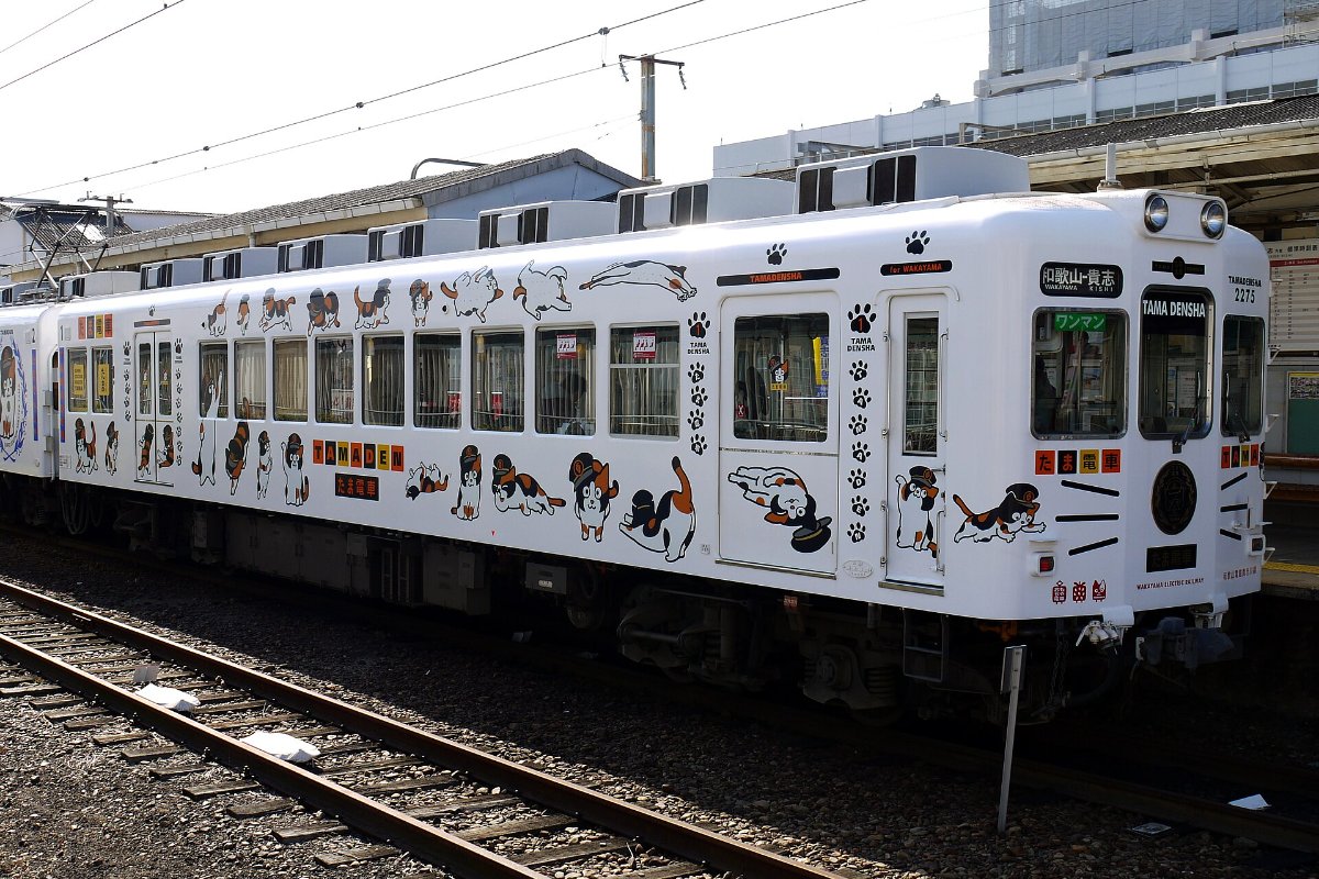 รถไฟทามะเด็นชะลายแมวของวาคายามะเด็นเท็ตสึ