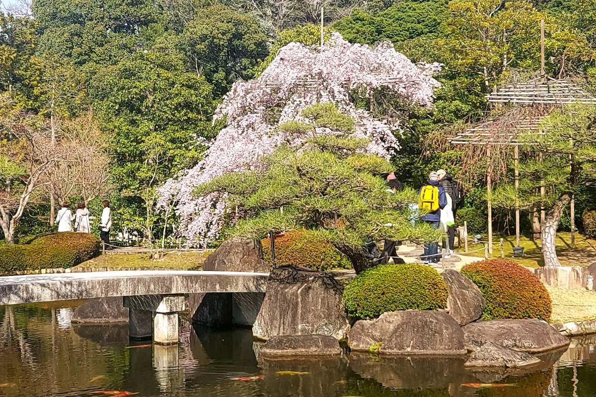 สวนโคโคเอ็น (สวนบนที่ตั้งเรือนฝั่งตะวันตกของปราสาทฮิเมจิ)