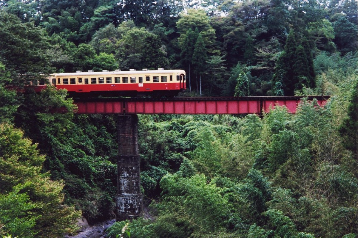 รถไฟบนสะพานเหล็กกลางป่าซาโตยามะ
