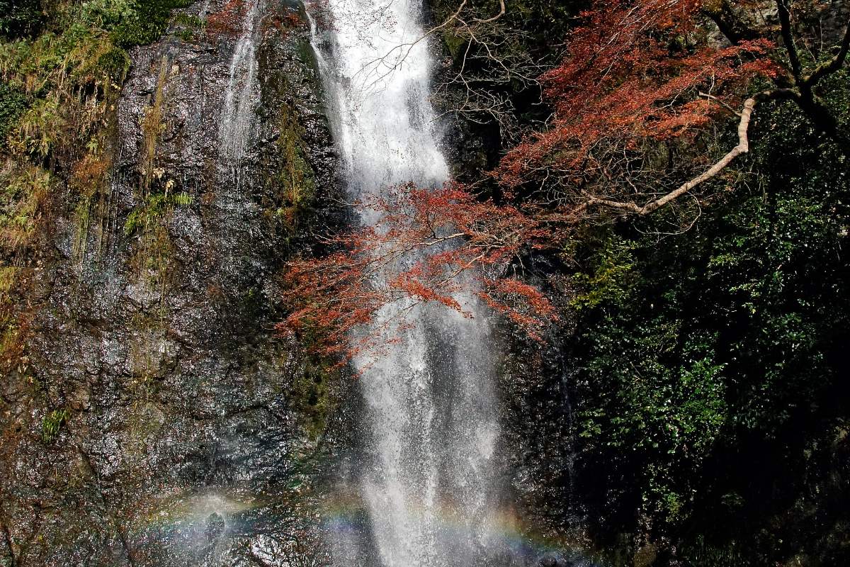 สวนมิโนะ (น้ำตกมิโนะ・ทางเดินริมน้ำตก)