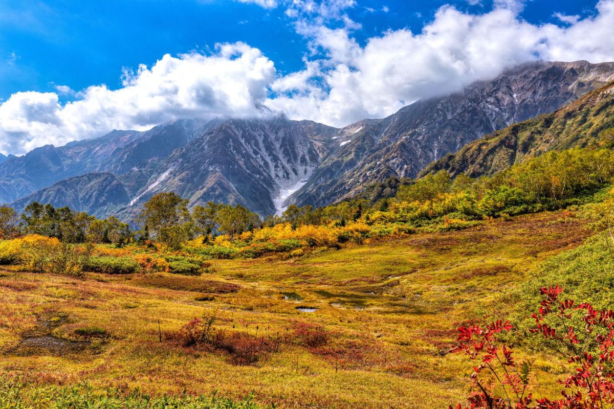 ทุ่งพรุที่ความสูง 1,900 เมตรของทสึงะอิเกะ ชิเซ็นเอ็น หมู่บ้านโอตาริ